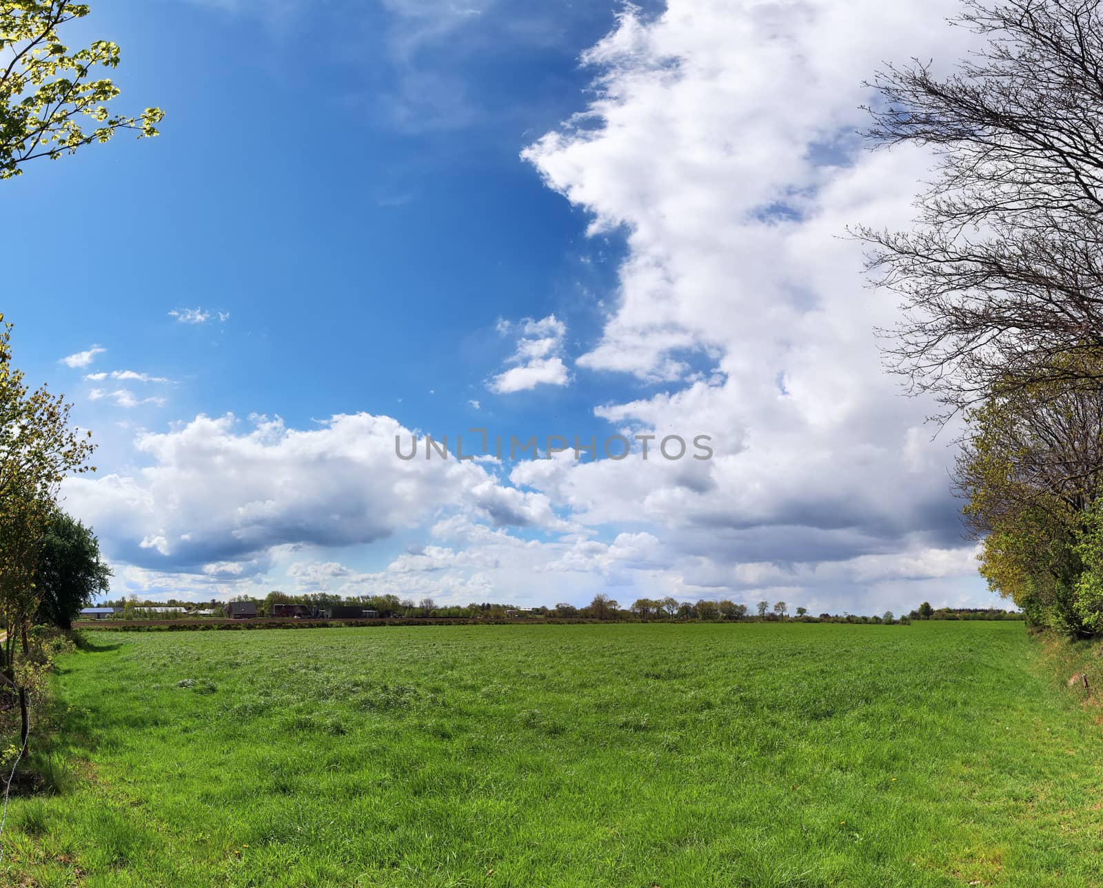 Beautiful high resolution panorama of a northern european country landscape with fields and green grass.