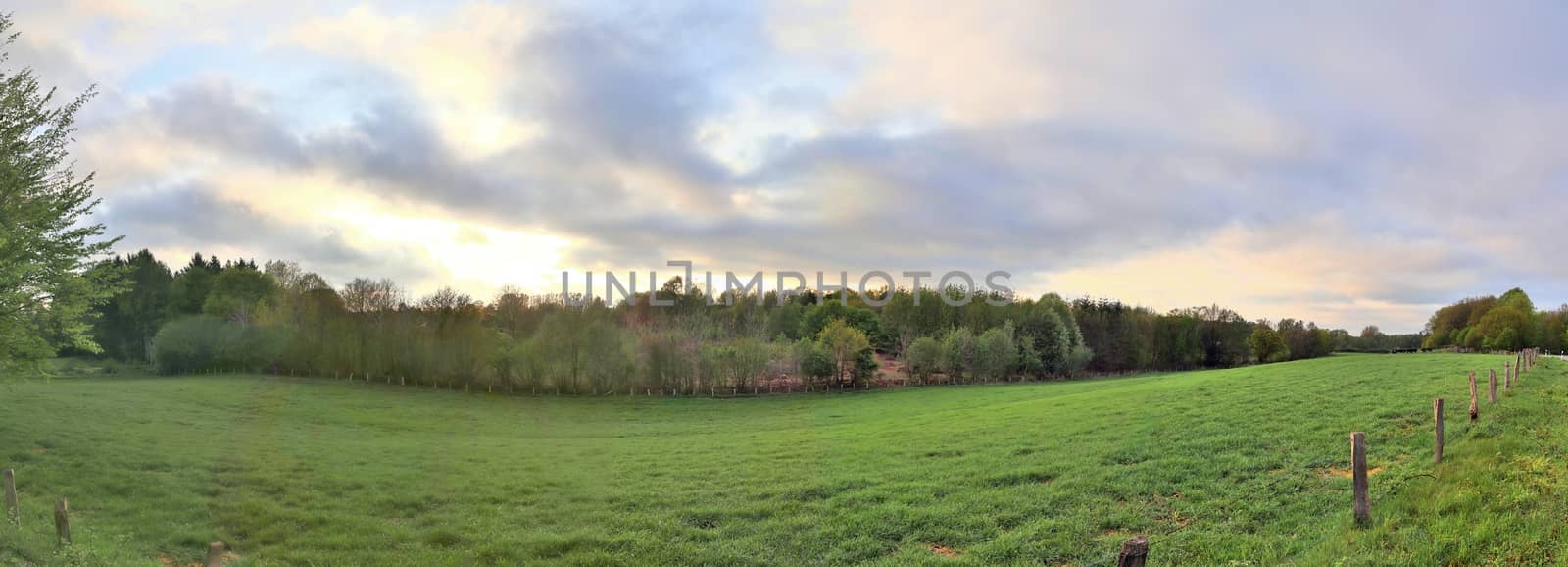 Beautiful high resolution panorama of a northern european country landscape with fields and green grass.