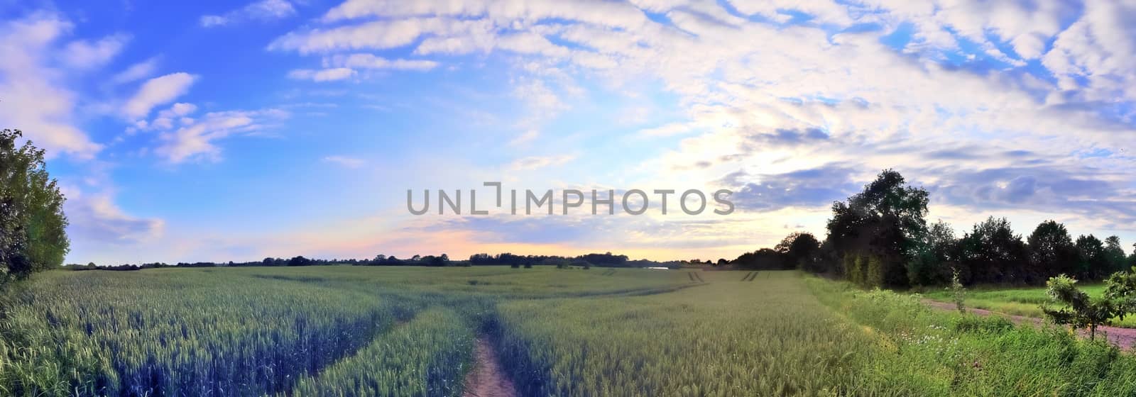 Beautiful high resolution panorama of a northern european country landscape with fields and green grass.