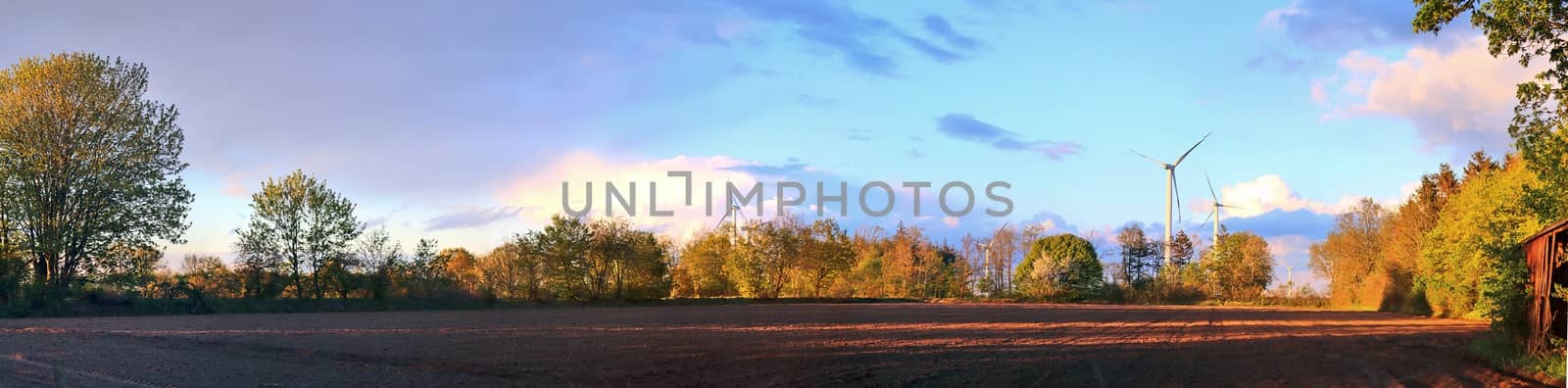 Beautiful high resolution panorama of a northern european country landscape with fields and green grass.