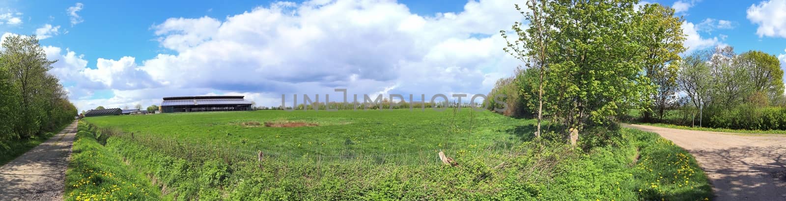 Beautiful high resolution panorama of a northern european country landscape with fields and green grass.