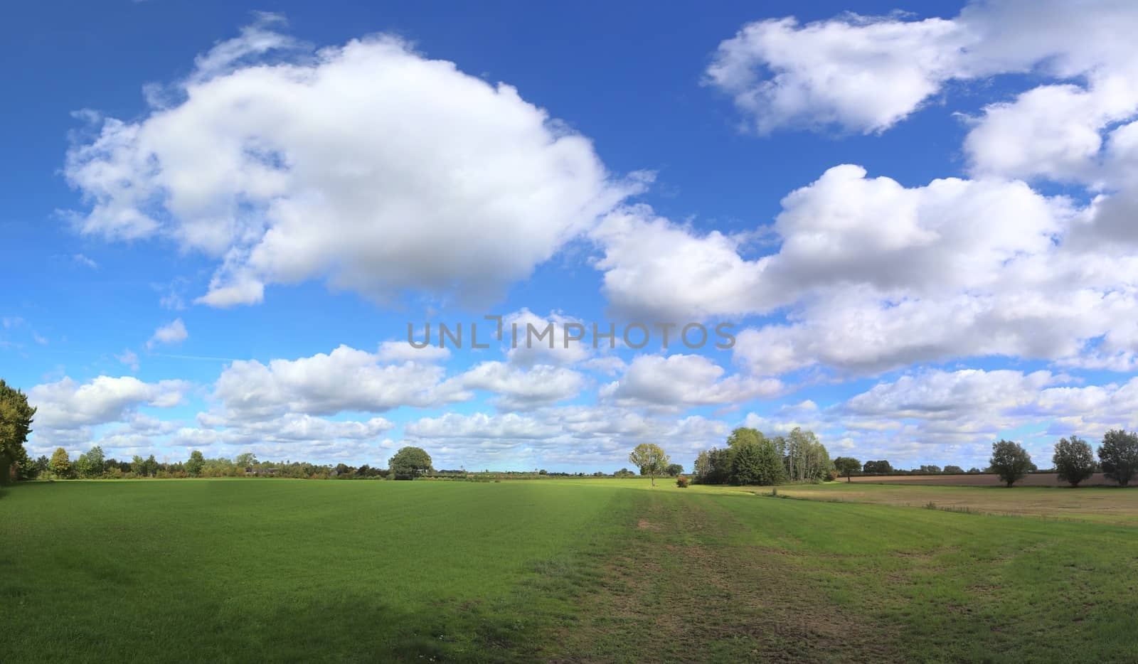 Beautiful high resolution panorama of a northern european country landscape with fields and green grass.