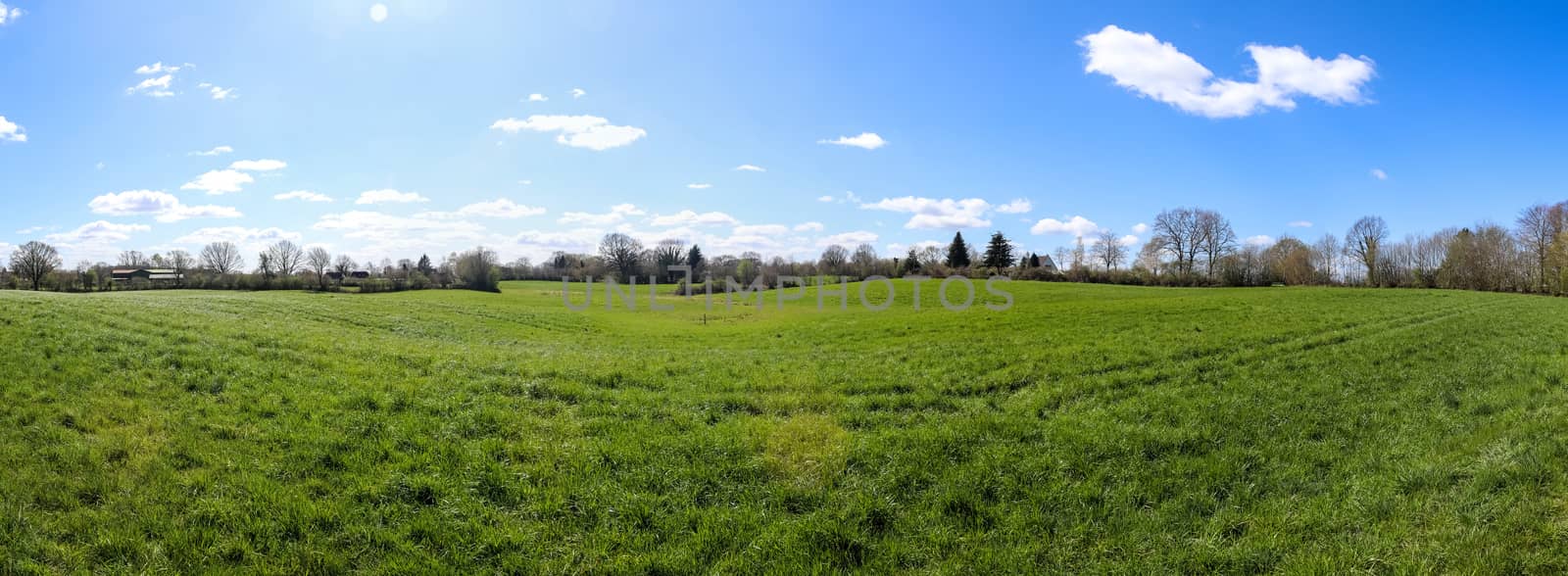 Beautiful high resolution panorama of a northern european country landscape with fields and green grass.