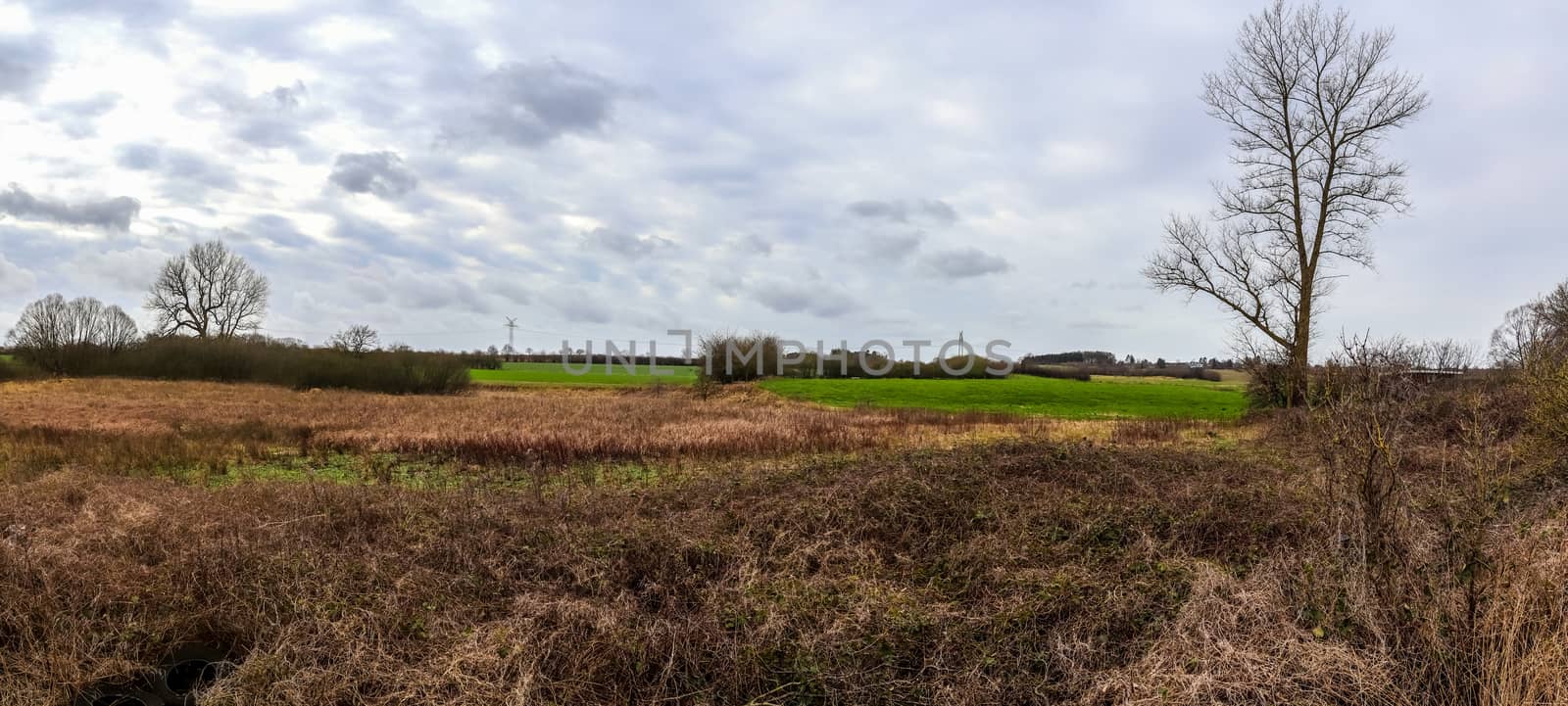 Beautiful high resolution panorama of a northern european country landscape with fields and green grass.