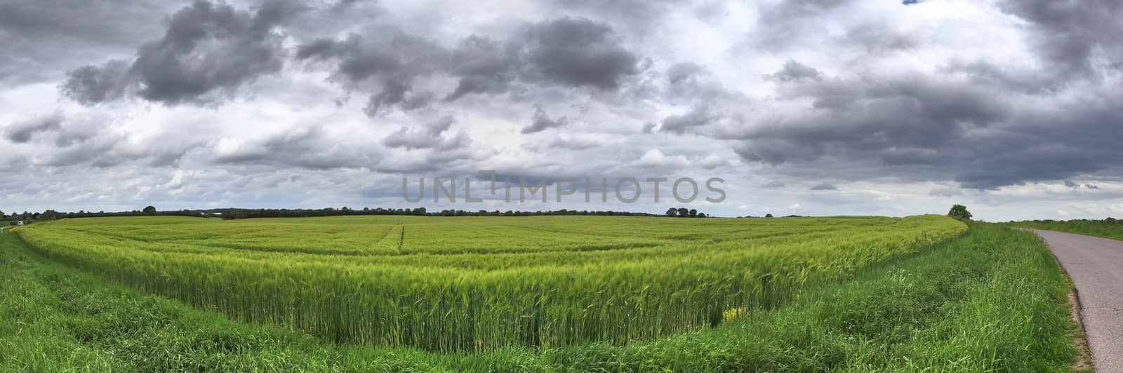 Beautiful high resolution panorama of a northern european country landscape with fields and green grass.