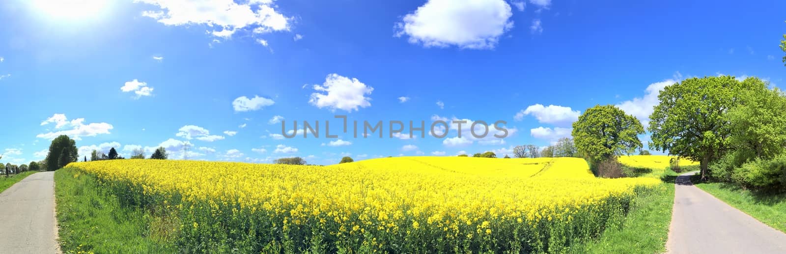 Beautiful high resolution panorama of a northern european country landscape with fields and green grass.