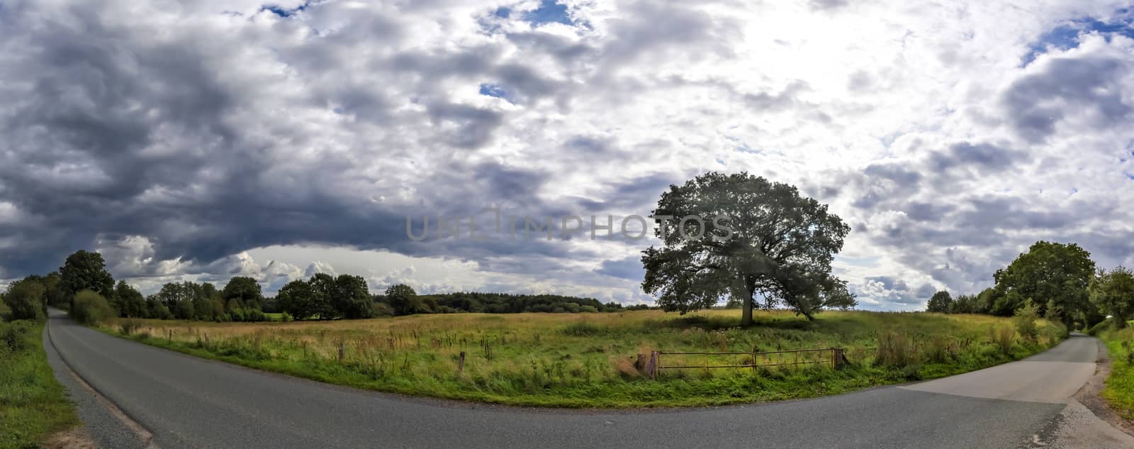 Beautiful high resolution panorama of a northern european country landscape with fields and green grass.