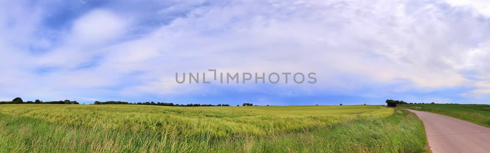 Beautiful high resolution panorama of a northern european country landscape with fields and green grass.