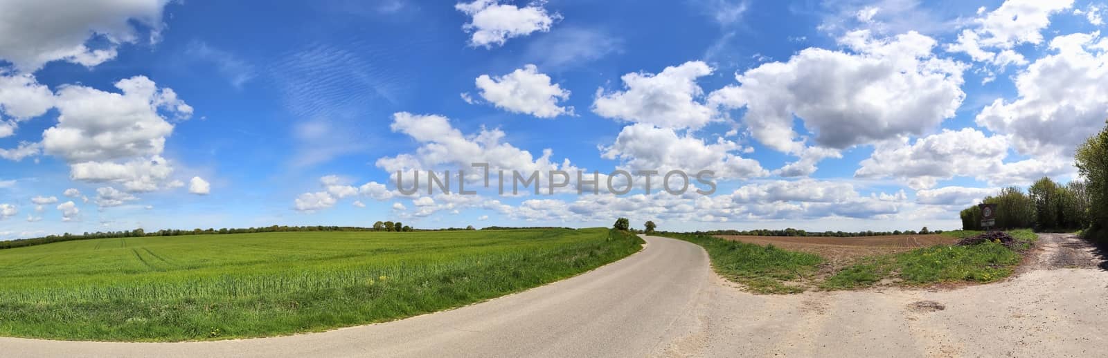 Beautiful high resolution panorama of a northern european country landscape with fields and green grass.