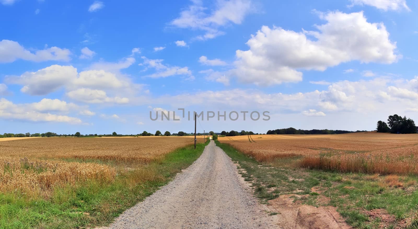 Beautiful high resolution panorama of a northern european country landscape with fields and green grass.