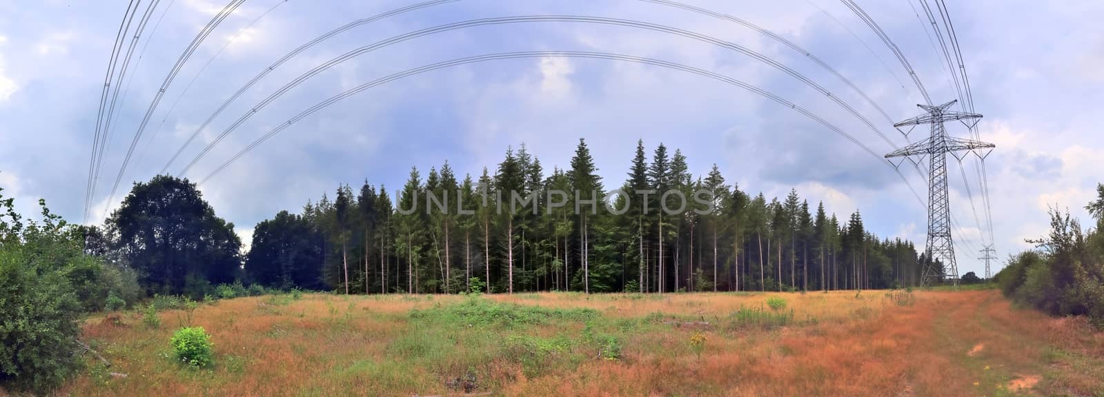 Beautiful high resolution panorama of a northern european country landscape with fields and green grass.