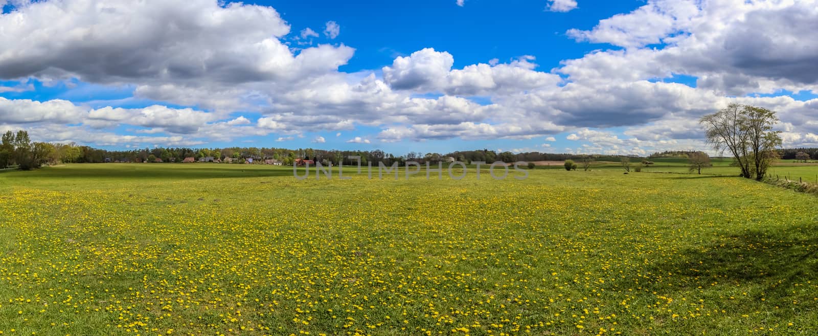 Beautiful high resolution panorama of a northern european country landscape with fields and green grass.