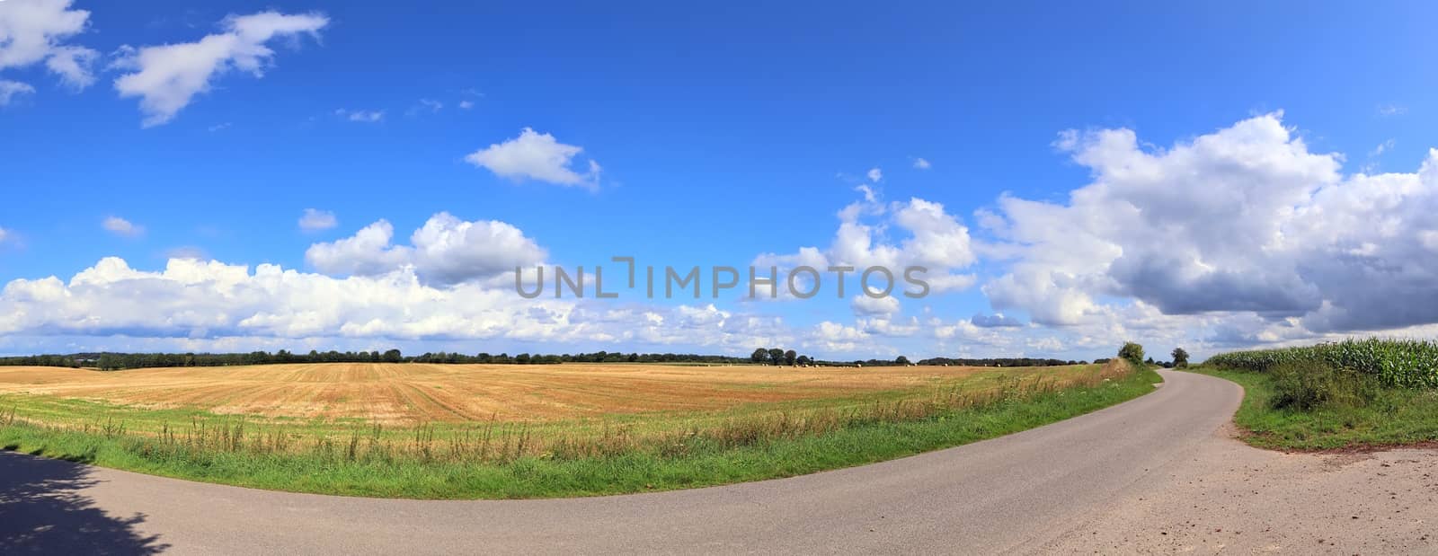 Beautiful high resolution panorama of a northern european country landscape with fields and green grass.