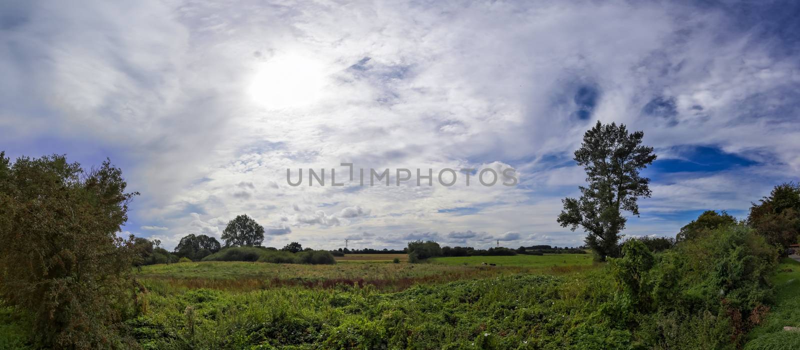 Beautiful high resolution panorama of a northern european country landscape with fields and green grass.