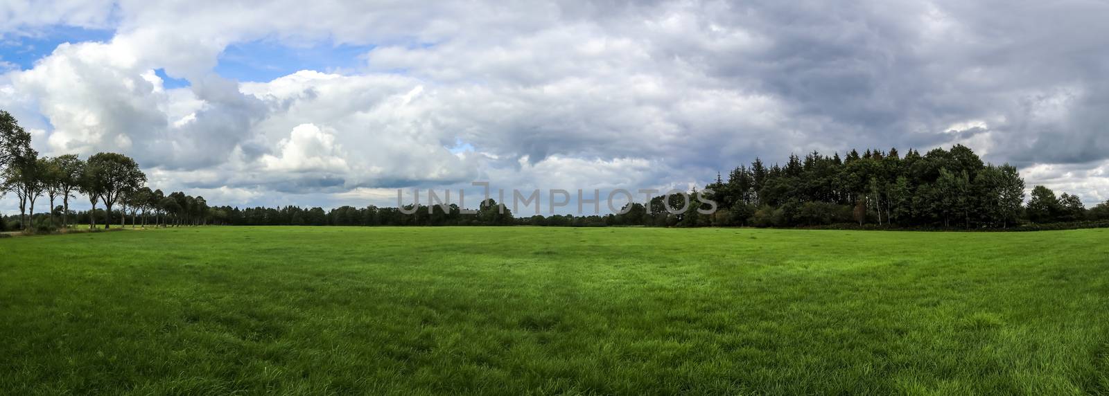 Beautiful high resolution panorama of a northern european country landscape with fields and green grass.