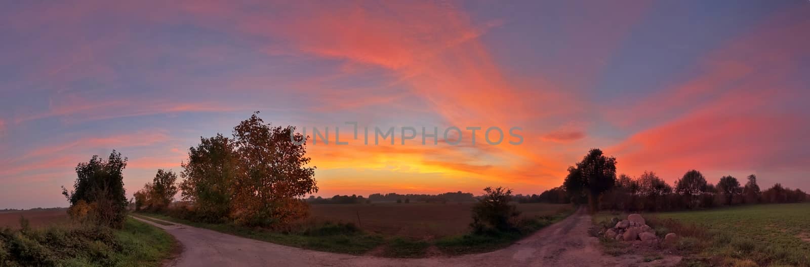 Beautiful high resolution panorama of a northern european country landscape with fields and green grass.