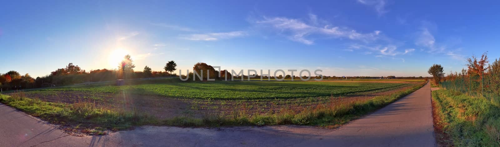 Beautiful high resolution panorama of a northern european country landscape with fields and green grass.