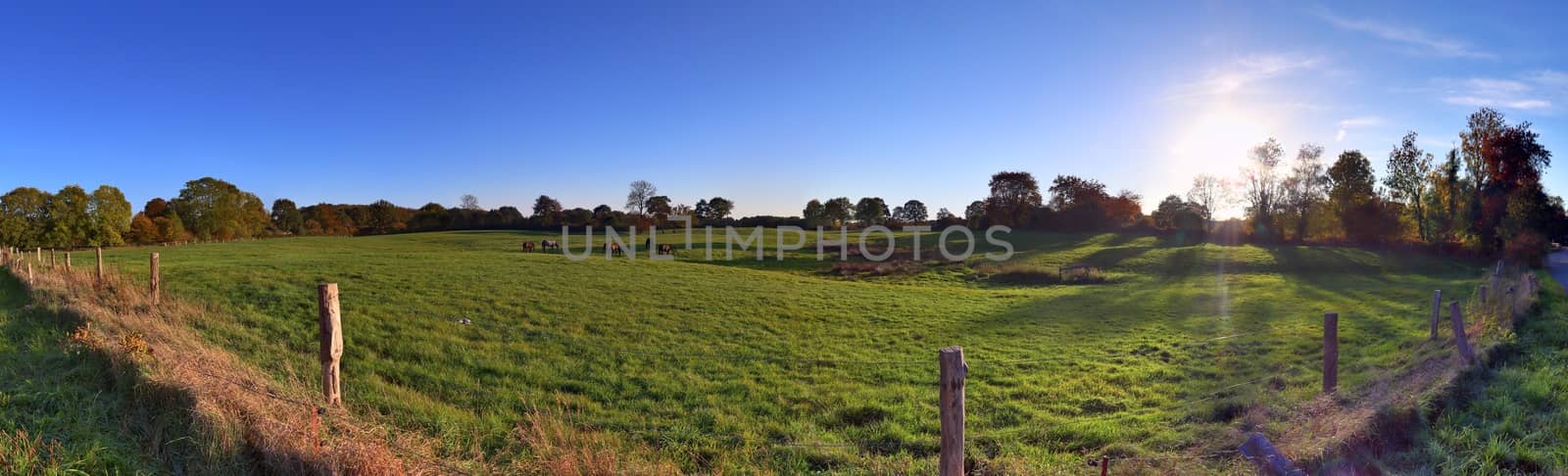 Beautiful high resolution panorama of a northern european country landscape with fields and green grass.