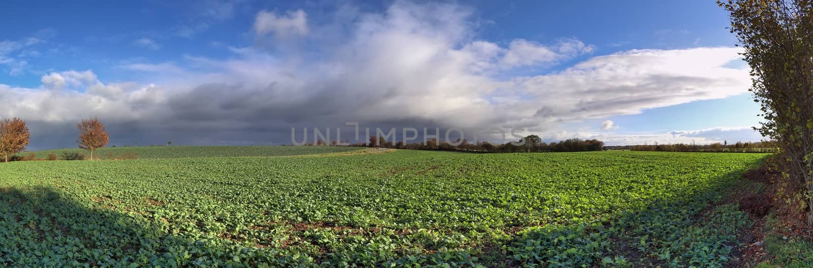 Beautiful high resolution panorama of a northern european country landscape with fields and green grass.