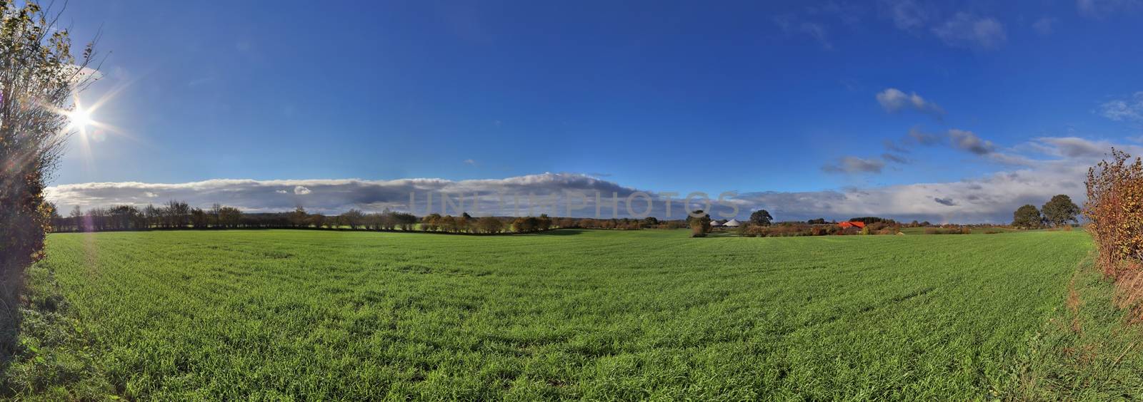 Beautiful high resolution panorama of a northern european country landscape with fields and green grass.