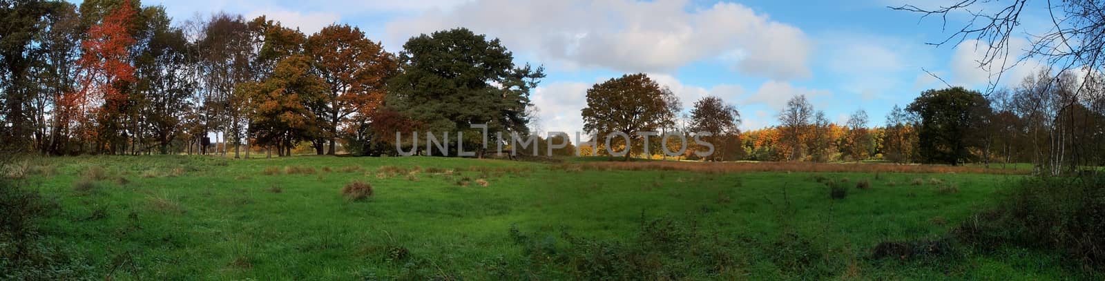 Beautiful high resolution panorama of a northern european country landscape with fields and green grass.