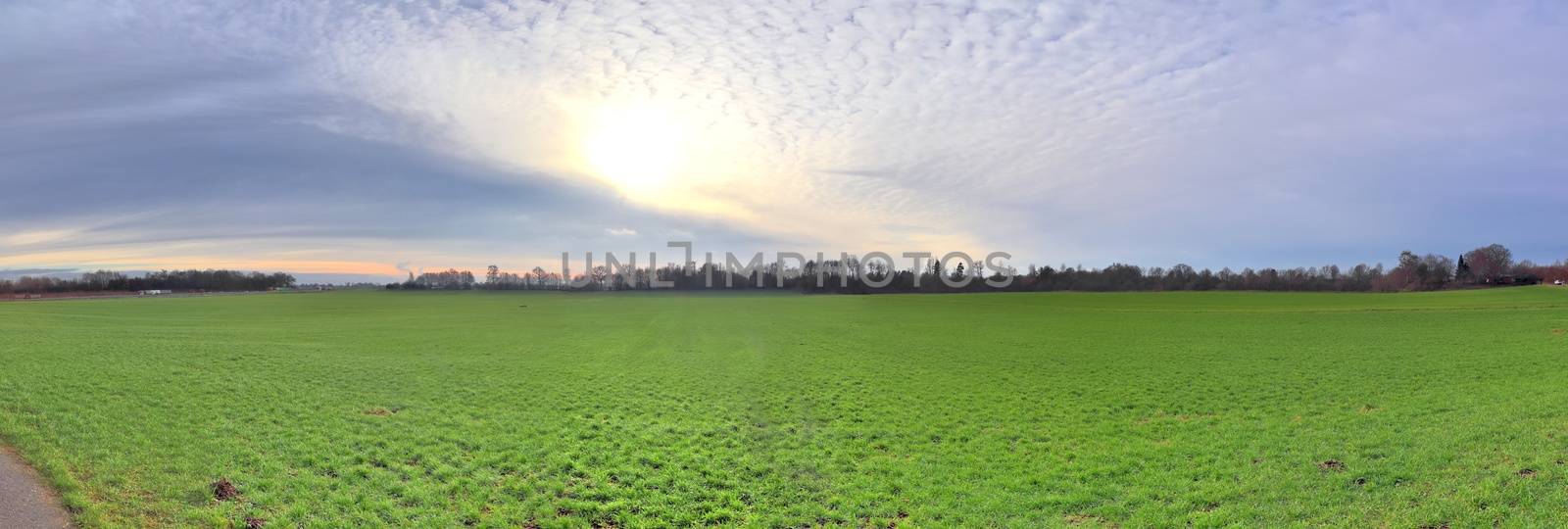 Beautiful high resolution panorama of a northern european country landscape with fields and green grass.