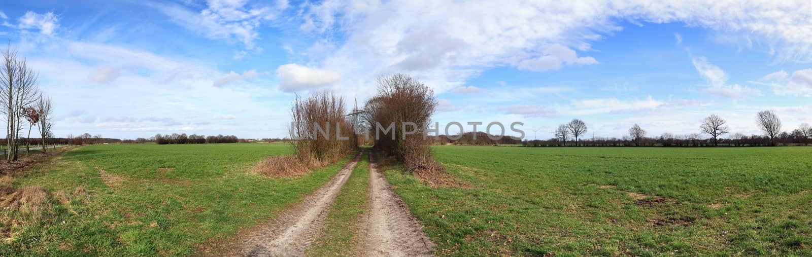 Beautiful high resolution panorama of a northern european country landscape with fields and green grass.