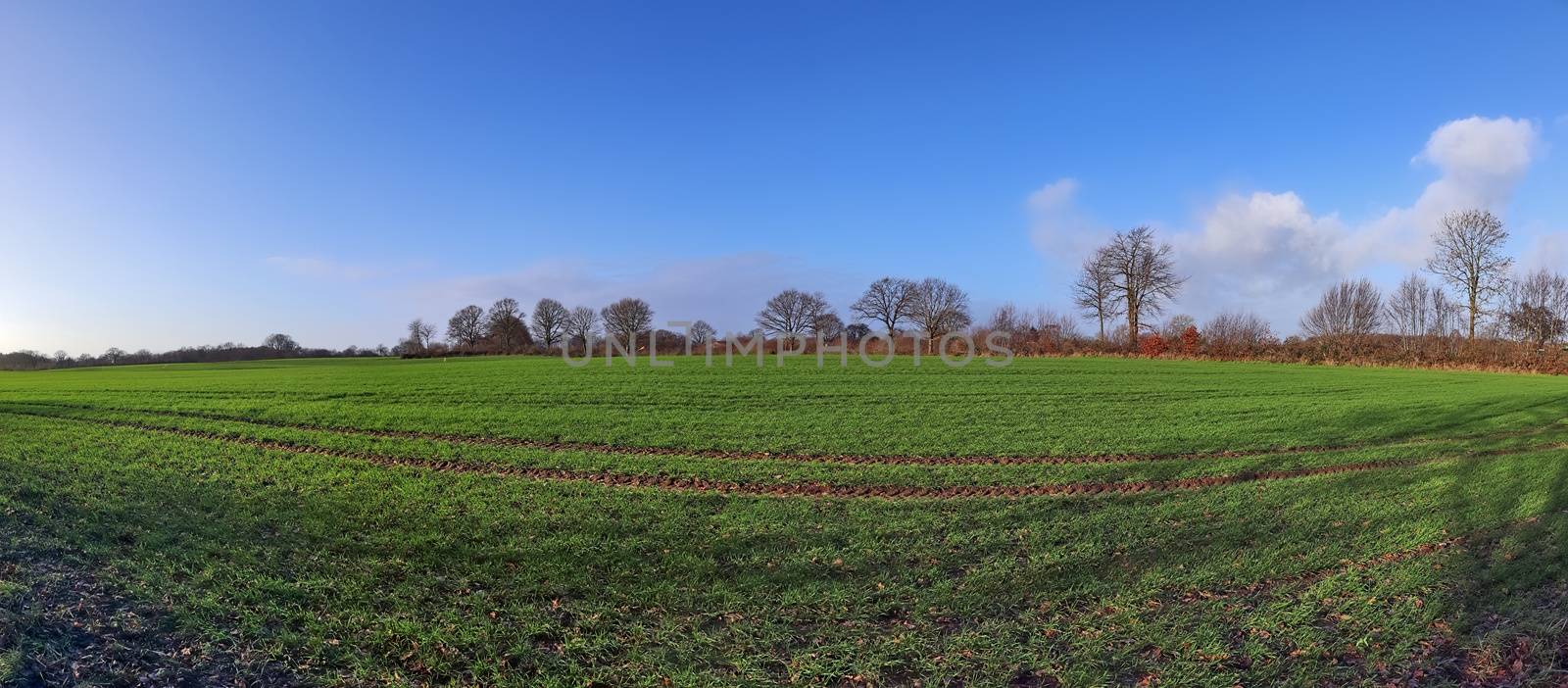 Beautiful high resolution panorama of a northern european country landscape with fields and green grass.