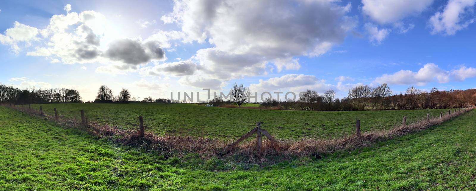 Beautiful high resolution panorama of a northern european country landscape with fields and green grass.