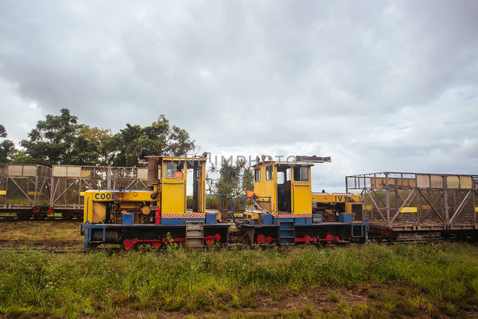 Sugar Cane Train in Queensland Australia by FiledIMAGE