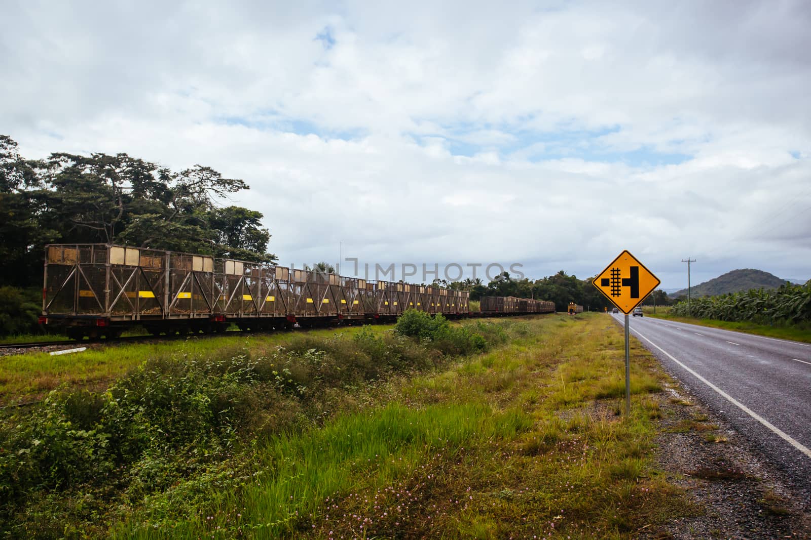 Sugar Cane Train in Queensland Australia by FiledIMAGE