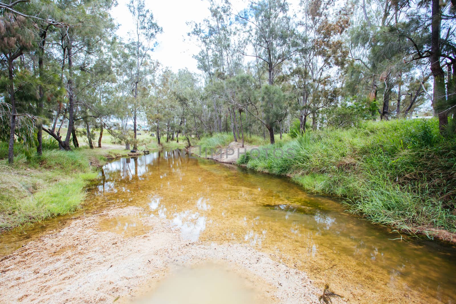 Innot Hot Springs in Australia by FiledIMAGE