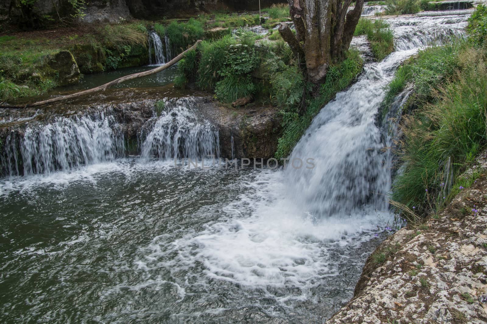 saut de charmine,samognat,ain,france
