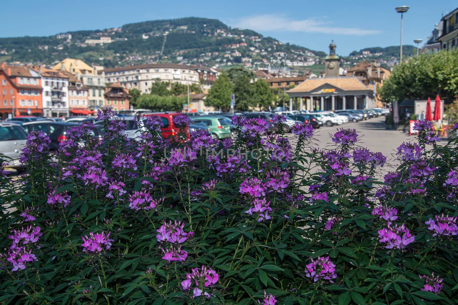 vevey,vaud,swiss