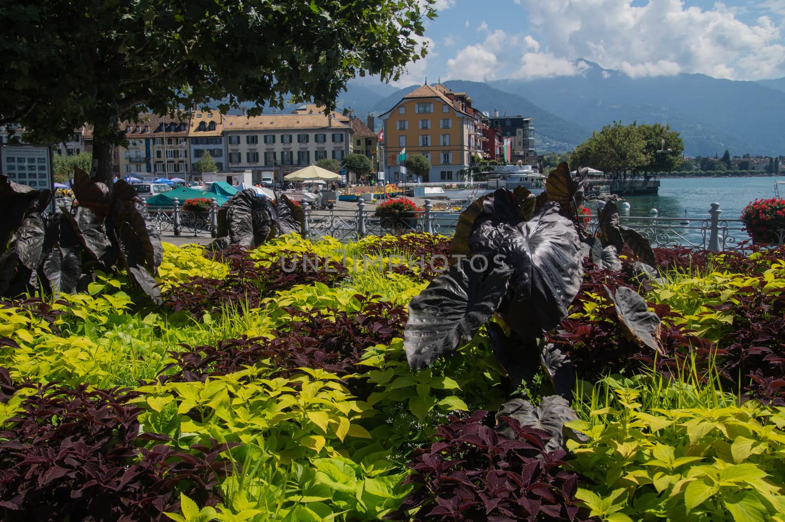 vevey,vaud,swiss