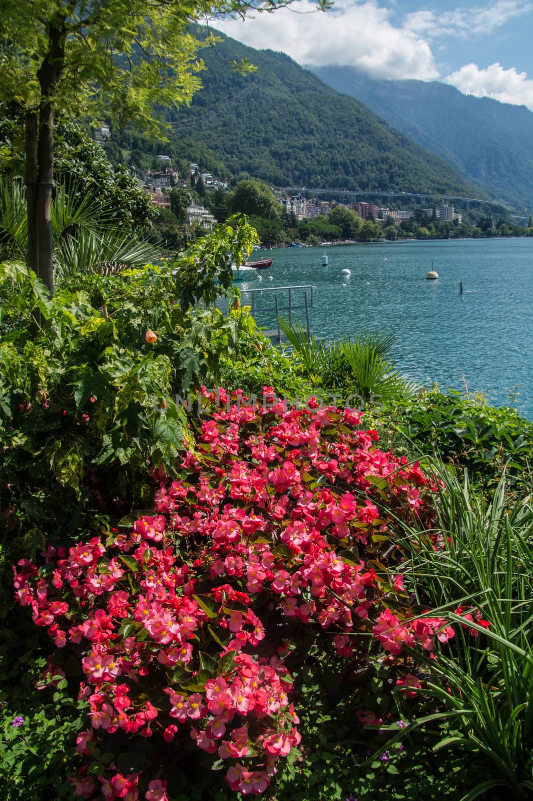 montreux,vaud,swiss