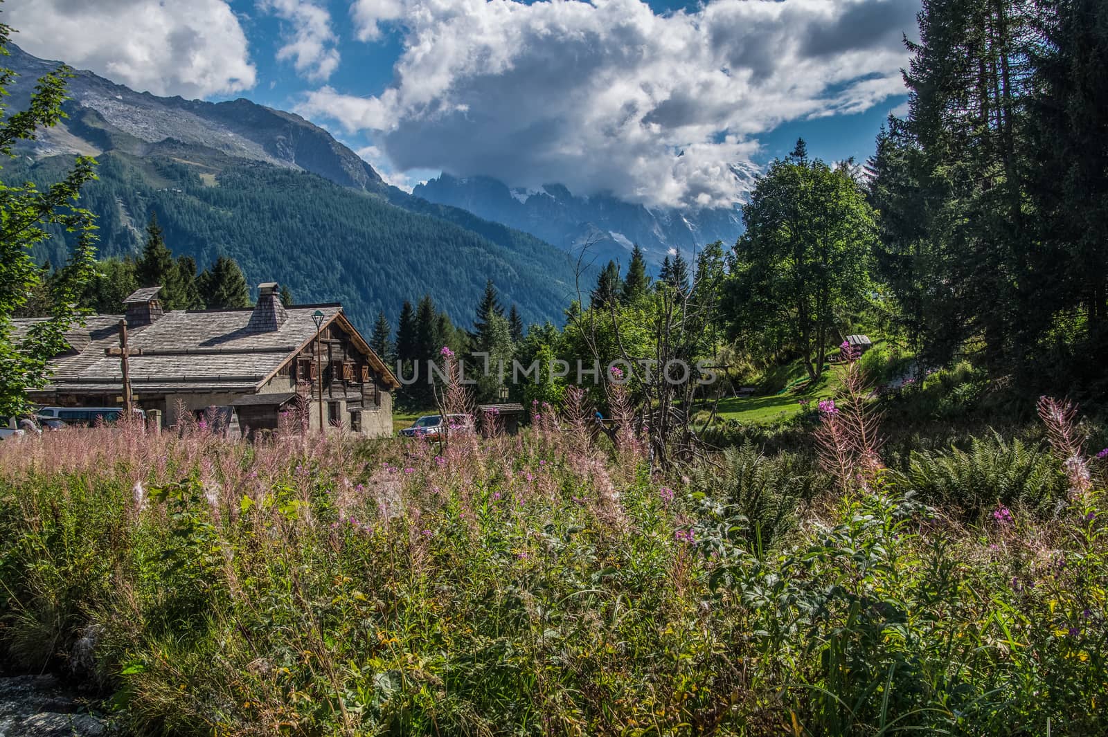 trelechamps,chamonix,haute savoie ,france