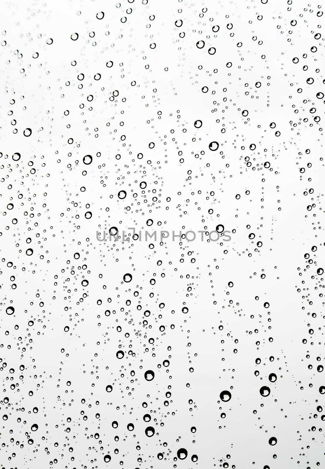 Drops of rain on the window (glass). Shallow DOF.