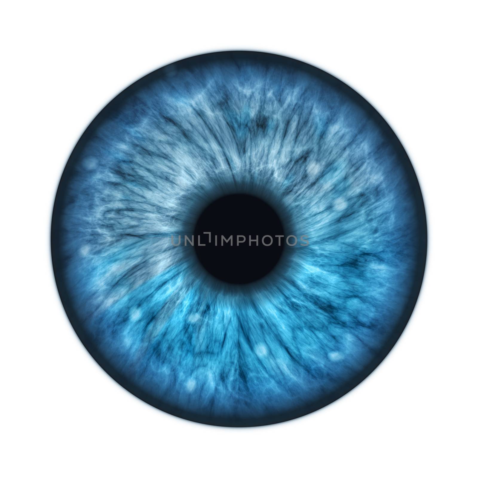 An illustration of a blue human iris