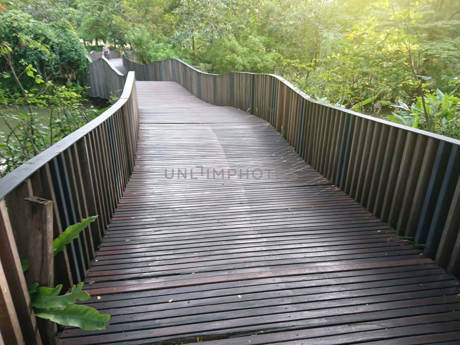 Pathway with bridge in the public park