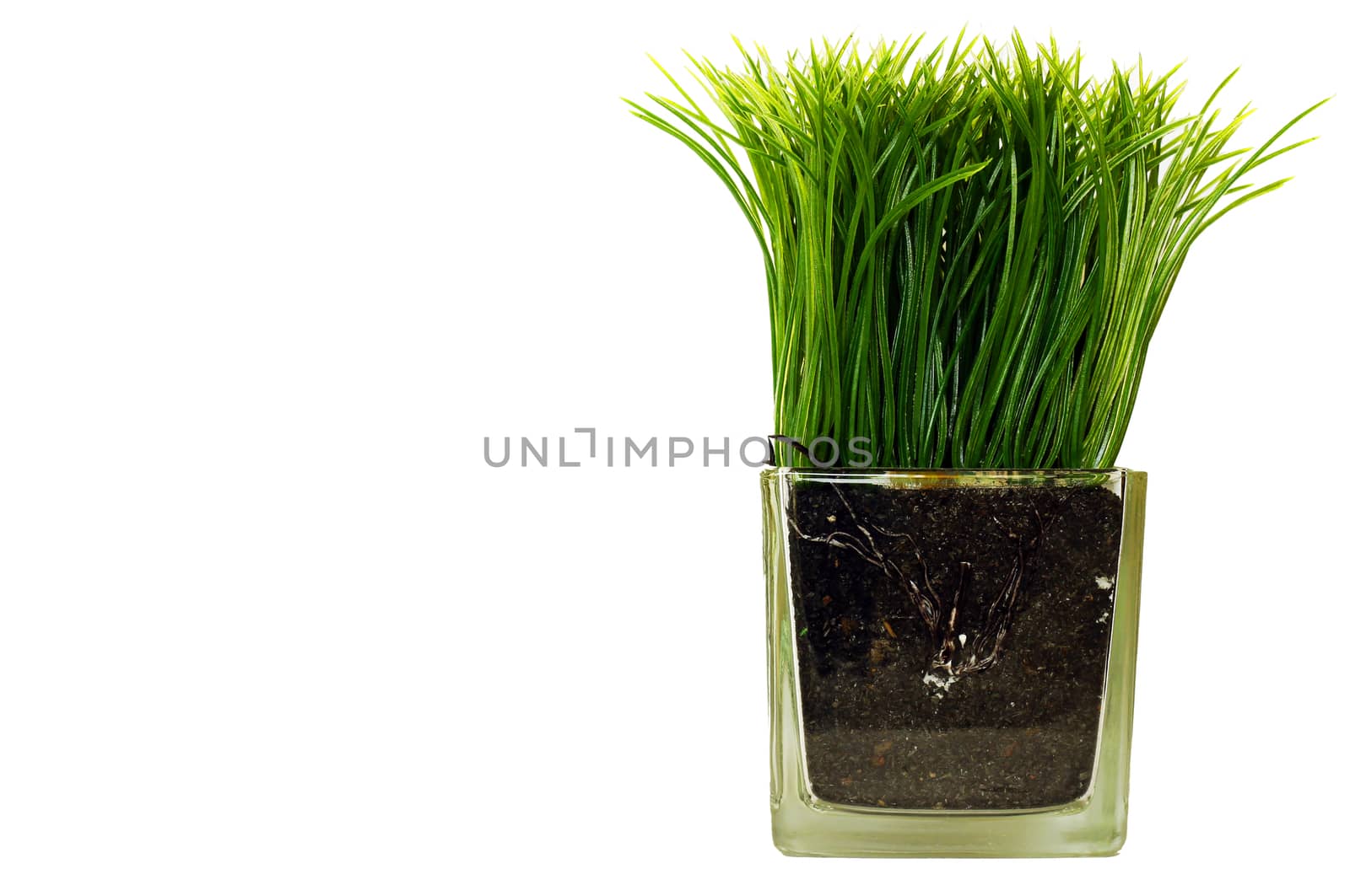 Plastic grass in the glass jar