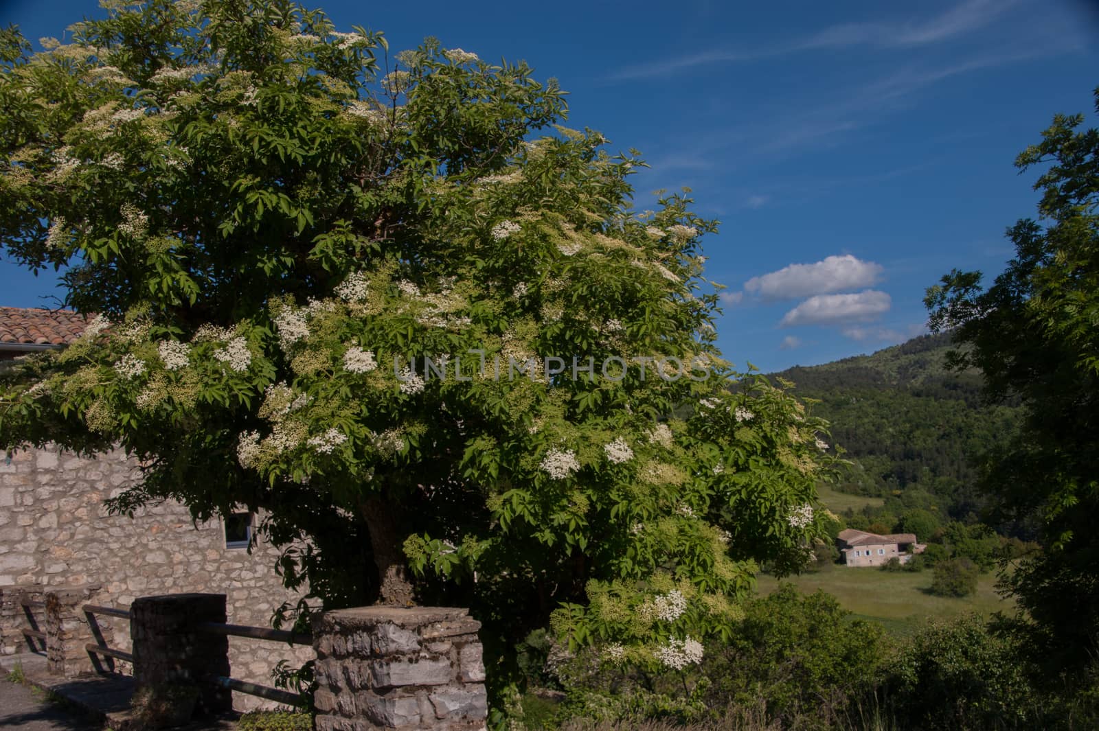 rimon,drome,france