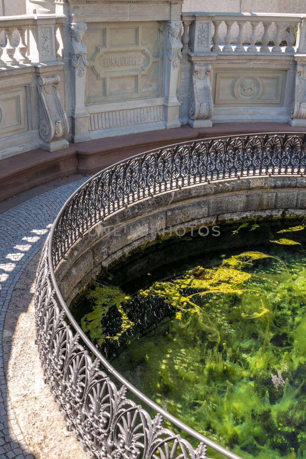 An image of the Danube spring in Donaueschingen Germany