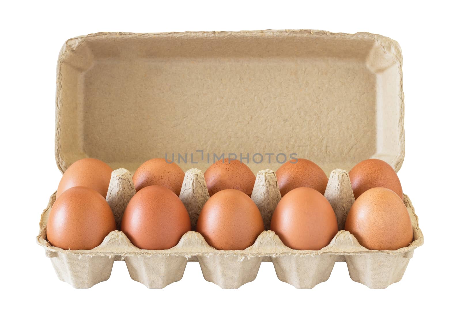 Carton of ten fresh eggs on white background