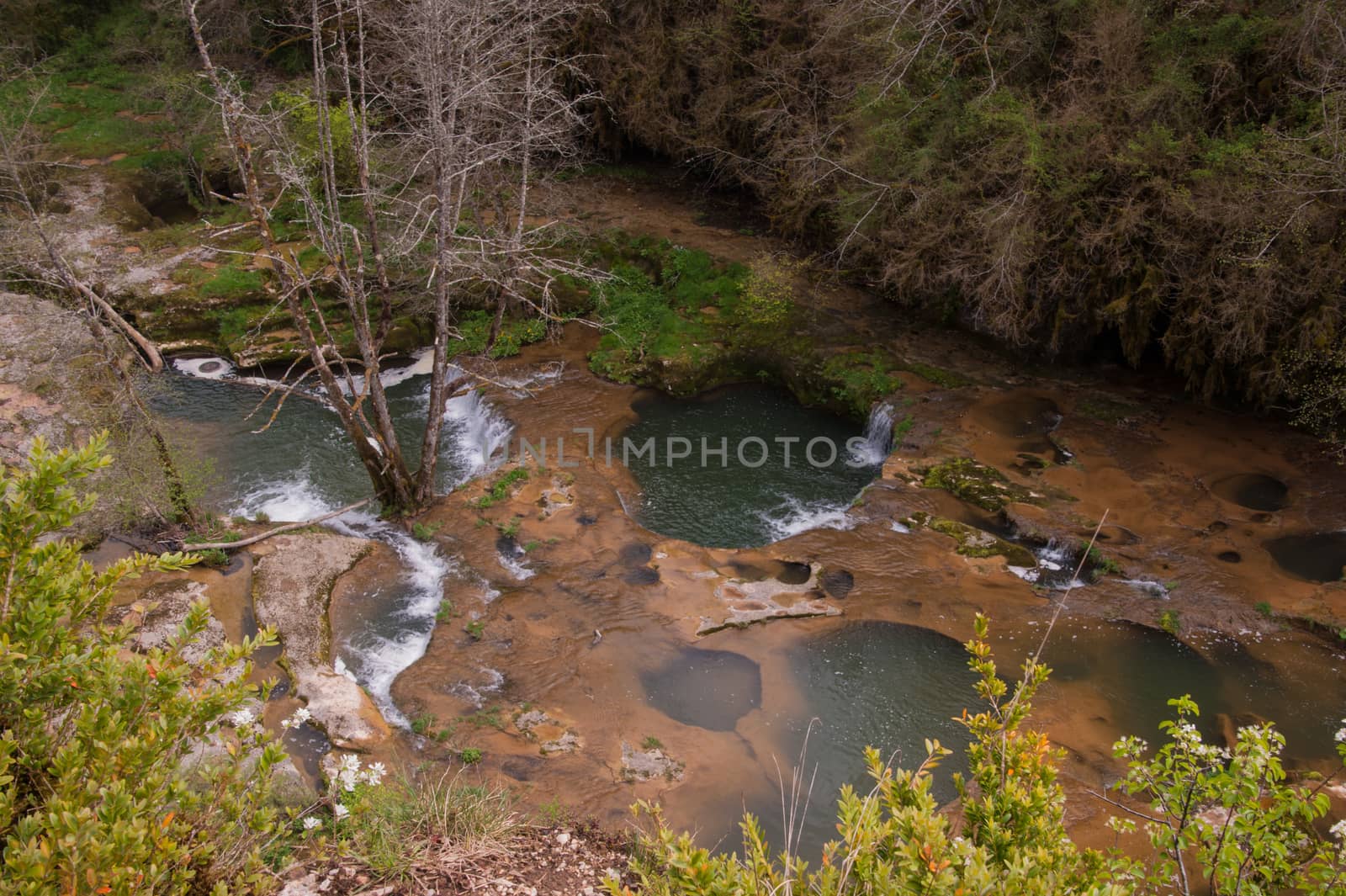 charmine,samognat,ain,france