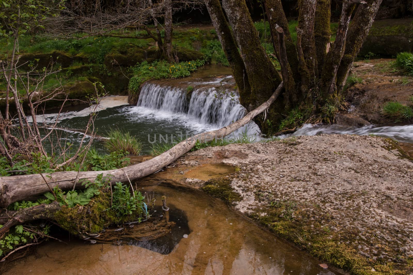 charmine,samognat,ain,france
