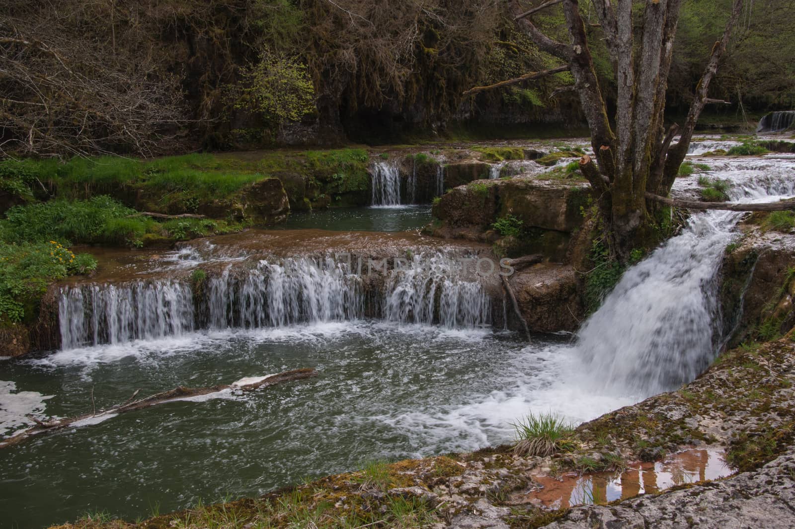 charmine,samognat,ain,france