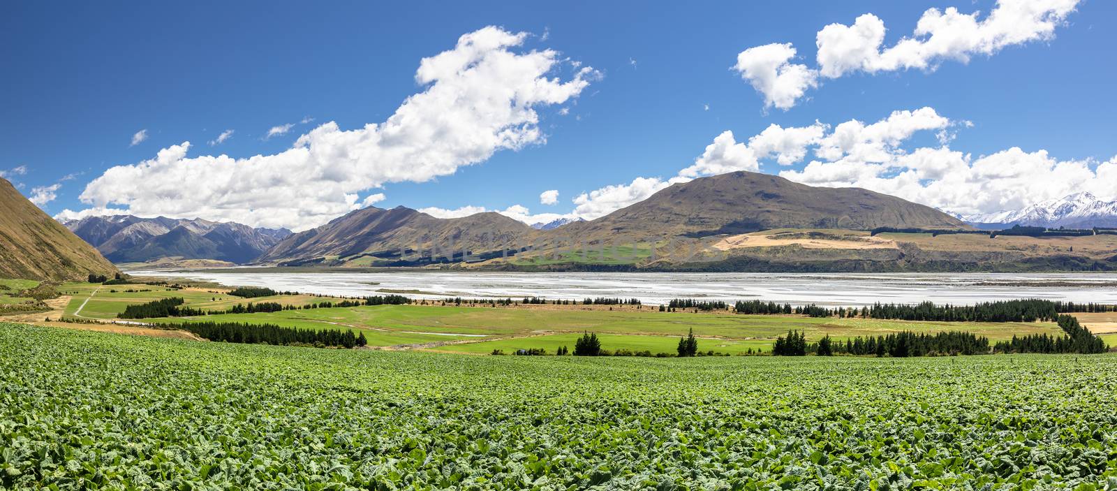 Mountain Alps scenery in south New Zealand by magann