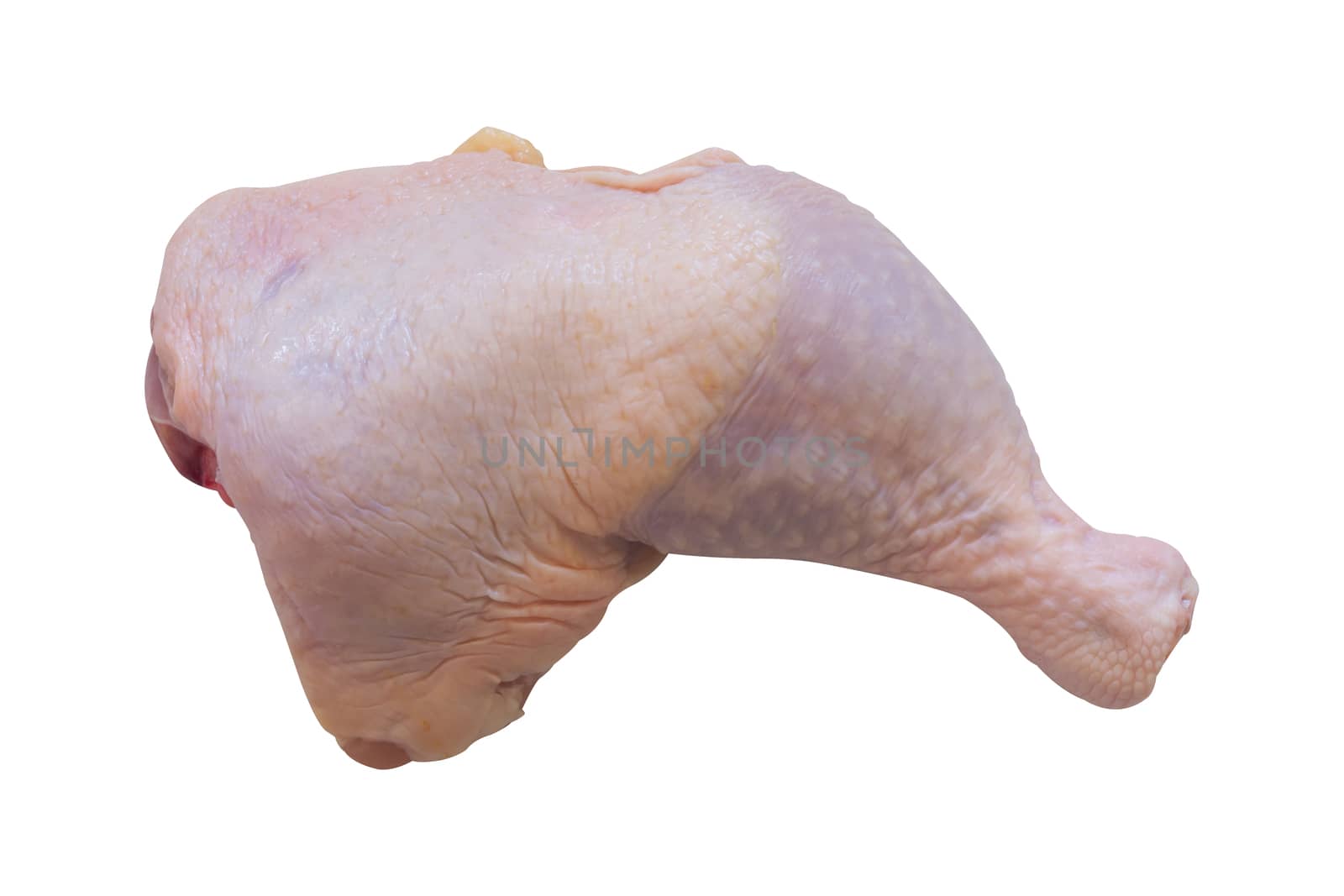 Isolate fresh chicken meat on white background