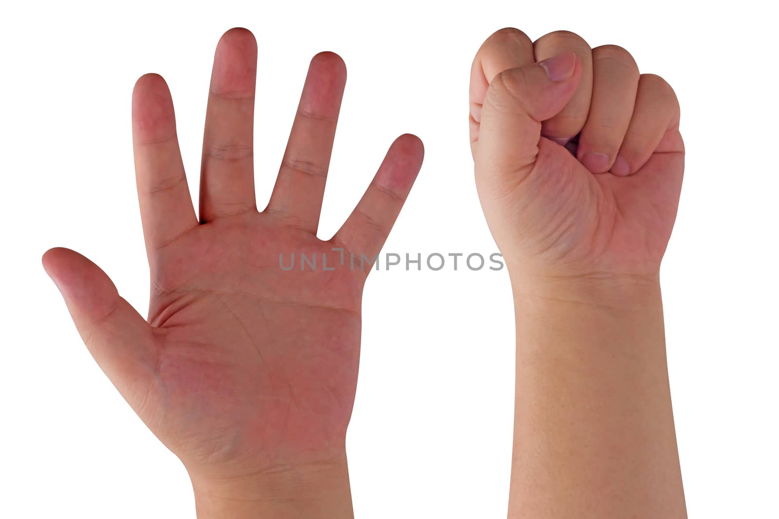Isolate man hand on white background
